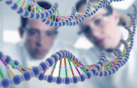 Технология CRISPR/Cas – путь к медицинской революции