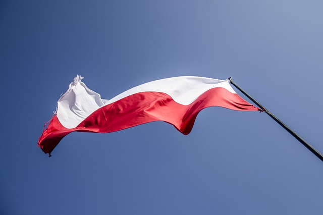 Программа «Go4Poland. Выбери Польшу» – отличный старт для карьеры